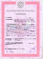 Лицензия МЧС - ЭйТиПи Групп: Гарантия Пожарной Безопасности